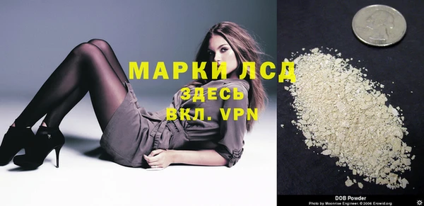 прущие грибы Алзамай