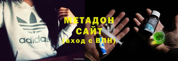прущие грибы Алзамай