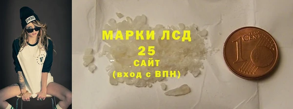 прущие грибы Алзамай
