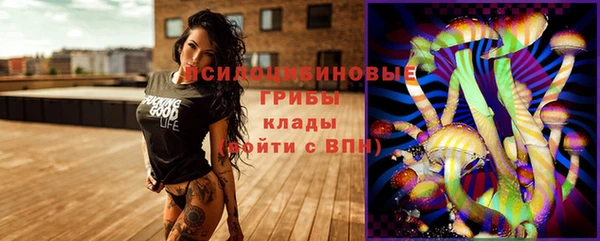 прущие грибы Алзамай