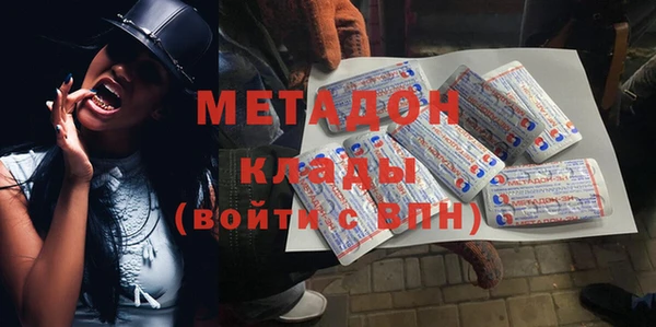 прущие грибы Алзамай